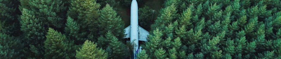 Writing Prompt: Airplane
